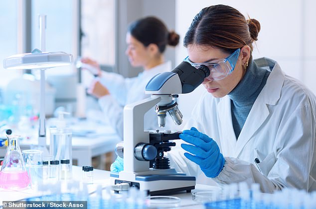 Breakthrough in Kidney Cancer Treatment: New Molecular Glue Degrader Enters Clinical Trials