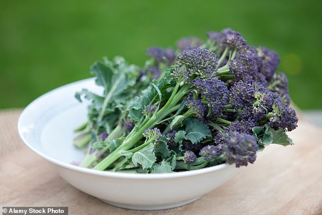 Broccoli's Dual Identity: A Culinary Controversy and Botanical Marvel