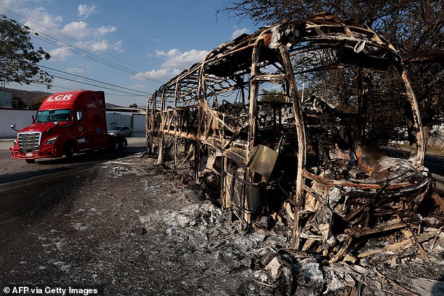 Cartel Retaliation Turns Puerto Vallarta's Luxury Resorts into Chaos