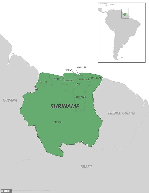CDC Issues Level 2 Advisory for Seychelles and Suriname Amid Chikungunya Surge, Urging Travelers to Take Precautions