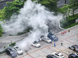 CDC Issues Level 2 Advisory for Seychelles and Suriname Amid Chikungunya Surge, Urging Travelers to Take Precautions