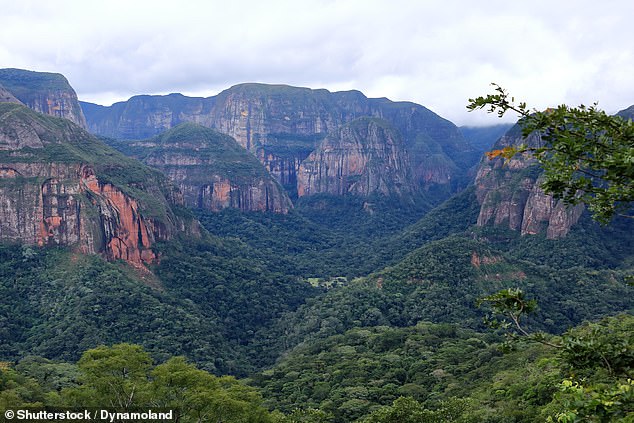 CDC Issues Level 2 Travel Advisory for Bolivia Amid Chikungunya Resurgence