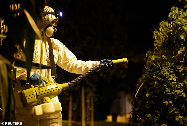 CDC Issues Level 2 Travel Advisory for Bolivia Amid Chikungunya Resurgence