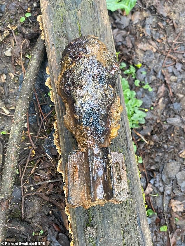Chaotic Discovery: Father and Son Unearth Live WWII Mortar Shell During Magnet Fishing on River Stour