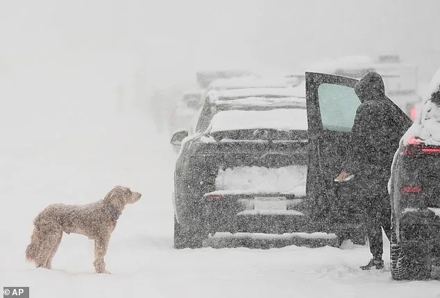 Colossal Winter Storm Threatens Millions Across 27 States, East Coast Faces Whiteout, California Dealing with Avalanche Aftermath