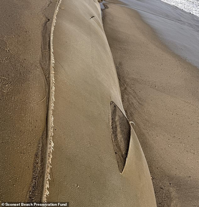 Critical Erosion Barriers Vandalized in Nantucket, $10K Reward Offered