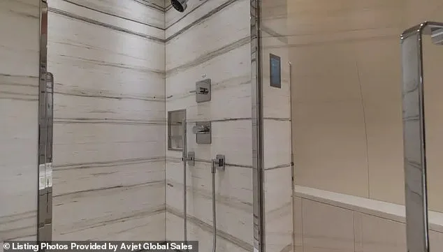 DHS Under Fire: $70M Luxury Jet Request Sparks Deportation Debate