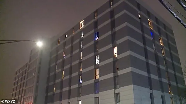 Elaine Dorland: 86-Year-Old's Relentless Perseverance Fuels Daily Cleaning Routine at Wyandotte Nursing Home