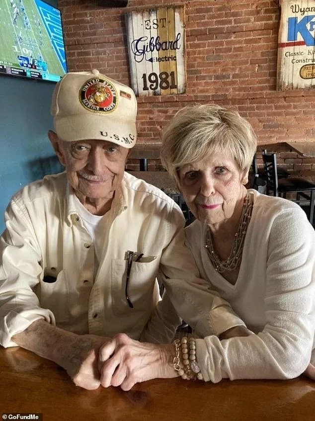 Elaine Dorland: 86-Year-Old's Relentless Perseverance Fuels Daily Cleaning Routine at Wyandotte Nursing Home