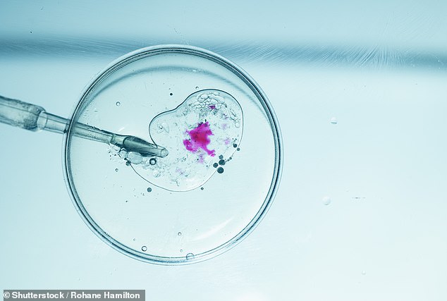 Elite Sperm Donation Program Offers $100K Annually, as Critics Warn of Exploitation Risks