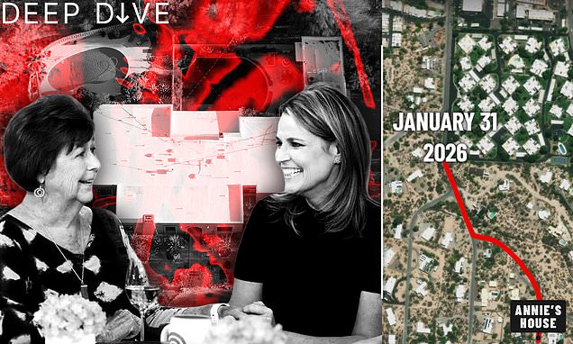 Feds Use Pacemaker Signal Sniffer in High-Stakes Search for Missing Arizona Woman