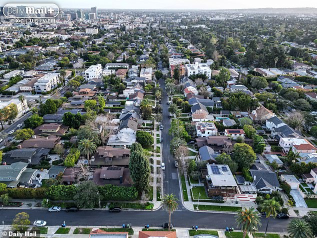 Larchmont's Hidden Crisis: Shadow Economy Thrives in Hollywood Glamour's Shadow