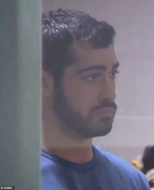 Las Vegas Club Promoter Charged with DUI After Tesla Crash Injures British Family, Child in Critical Condition