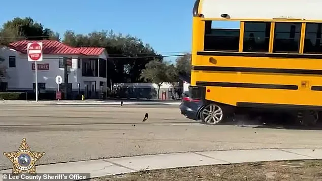 Miraculous Escape: Florida Jaguar Crash Avoids Tragedy as School Bus Driver Walks Away Unharmed