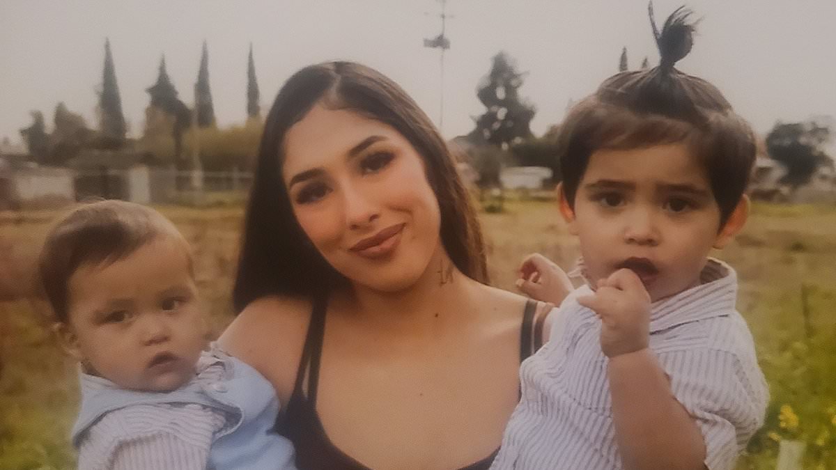 Mother Pleads Guilty to Involuntary Manslaughter After Leaving Son in Hot Car