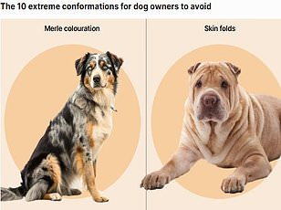 Pets Accidentally Spread Invasive Flatworms, Threatening European Ecosystems