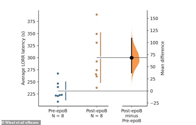 Quantum Processes in the Brain May Explain Consciousness, Suggests New Study