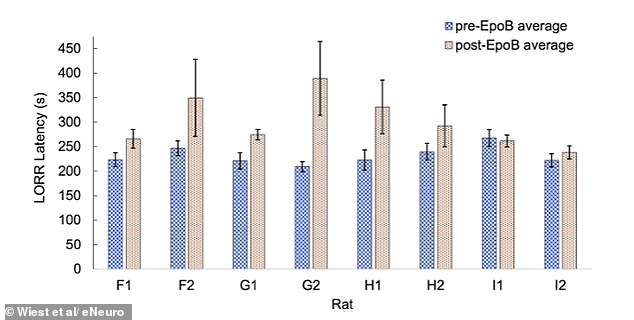 Quantum Processes in the Brain May Explain Consciousness, Suggests New Study