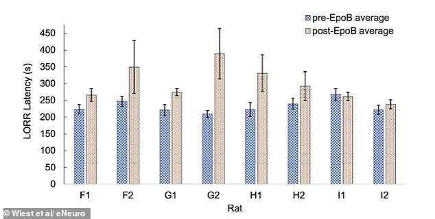 Quantum Processes in the Brain May Explain Consciousness, Suggests New Study