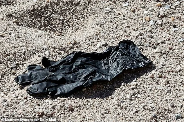 Quiet Innovators: DNA Labs International's Pivotal Role in Unlocking the Mystery of Nancy Guthrie's Abduction