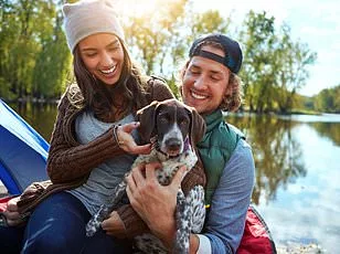 Renaud Foucart's Tripartite Framework Redefines 21st-Century Social Classes: Dinks, Alices, and Henrys Reflect Shifting Economic Realities