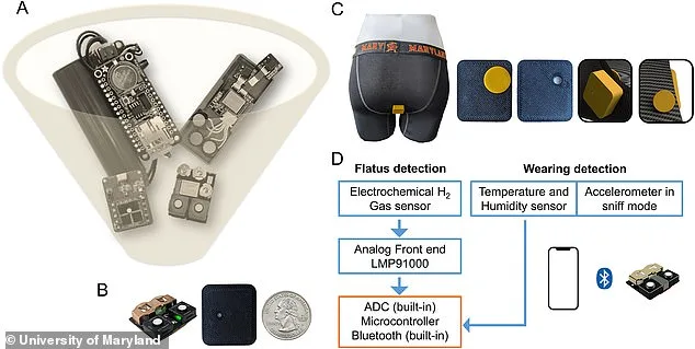 Smart Underwear Reveals Humans Pass Gas Twice as Frequently as Previously Thought