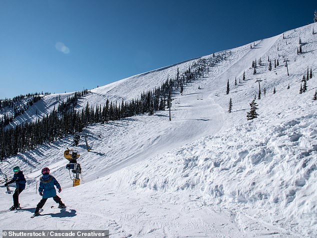 Snow Drought Forces Washington Ski Resorts into Crisis, Raising Questions About Industry's Future