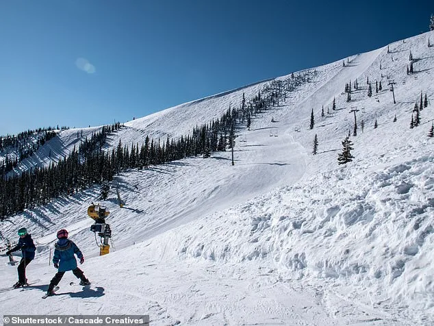 Snow Drought Forces Washington Ski Resorts into Crisis, Raising Questions About Industry's Future
