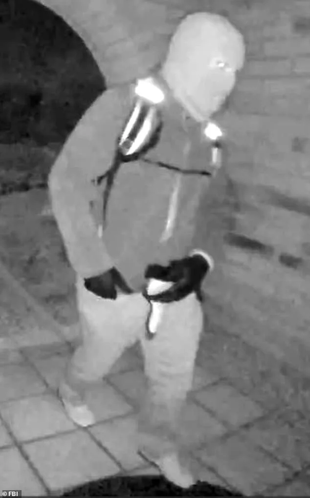 Surveillance Footage Reveals Bald Man Near Nancy Guthrie's Home, Linking to Doorbell Camera Mystery