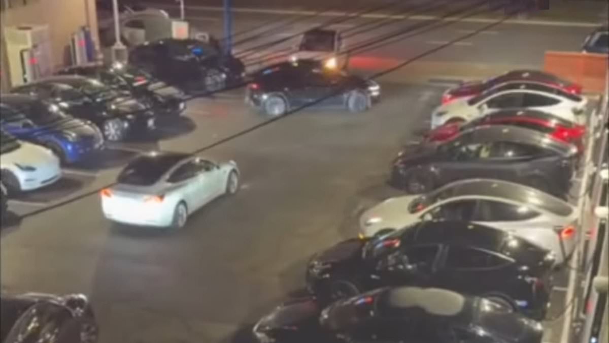 Tesla Charging Lot on Lombard Street Sparks Nightly Chaos and Frustration in San Francisco