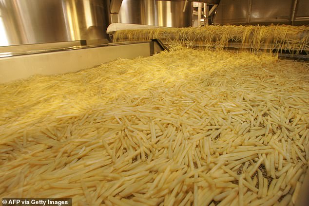 The McCain Dynasty's Billion-Dollar Feud: Frozen Food Empire and Eleanor's $1B Stake in the Crosshairs