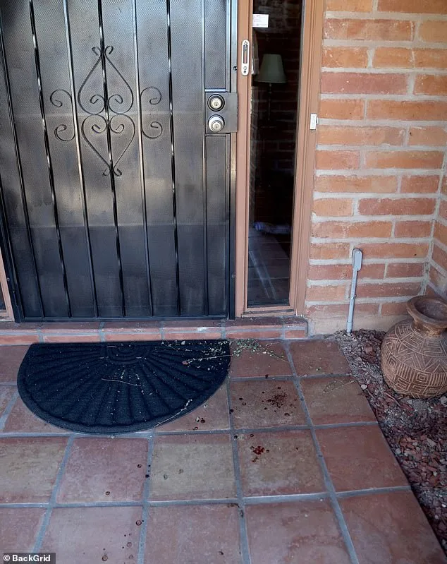 The Vanishing of Nancy Guthrie: A Mystery That Defies Explanation and Keeps the Public in Suspense