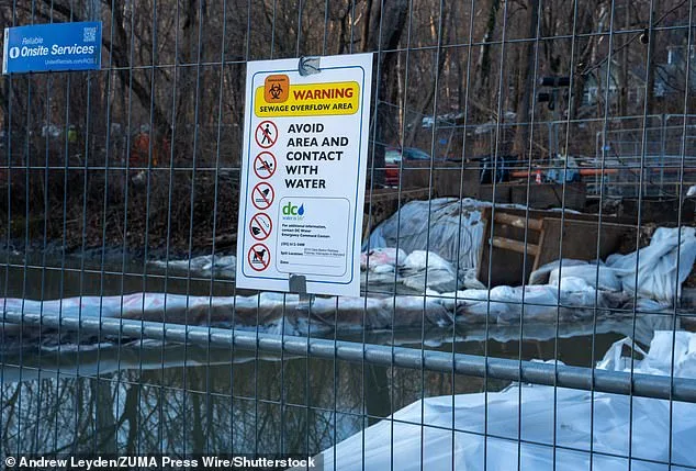 Trump Blames Democrats for Potomac Sewage Spill, Threatens FEMA Intervention Amid Ecological Crisis