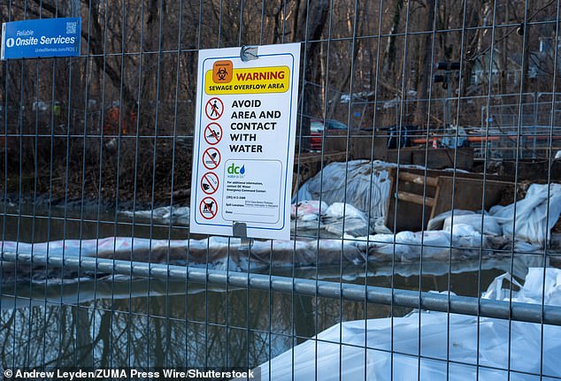 Trump Blames Democrats for Potomac Sewage Spill, Threatens FEMA Intervention Amid Ecological Crisis