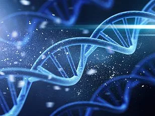 Why the 40s Are the Most Exhausting Decade: Biological Mismatch and the Need for Health Reevaluation