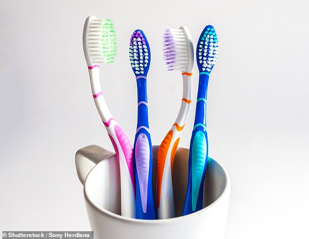 Dr. Primrose Freestone Solves the Debate: New Study Reveals Optimal Toothbrush Replacement Timeline