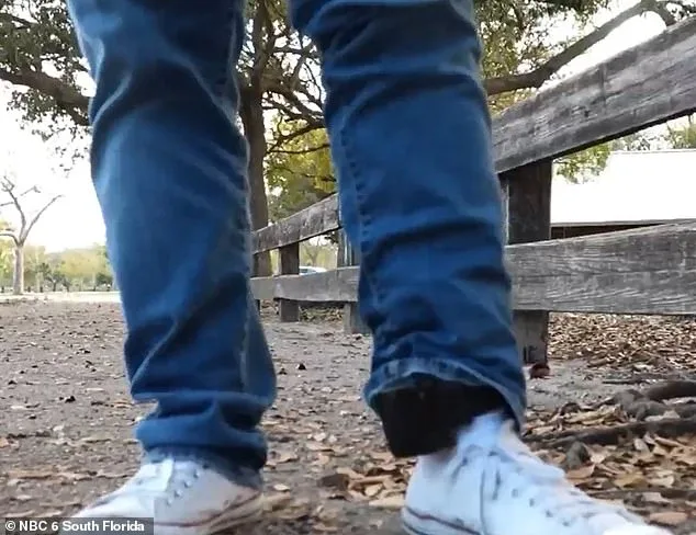 IT Specialist Detained on First Day at Florida Border Patrol Station; Controversy Intensifies at Alligator Alcatraz Detention Center