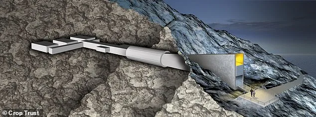 Svalbard Global Seed Vault Expands with 7,800 New Varieties, Strengthening Global Food Security