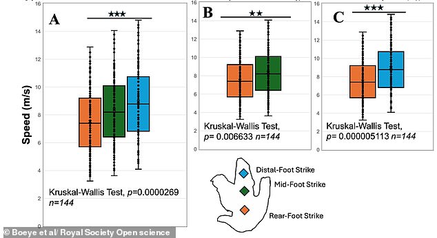 T. rex May Have Moved with Grace, Not Thunderous Stomps: New Research Challenges Iconic Depictions