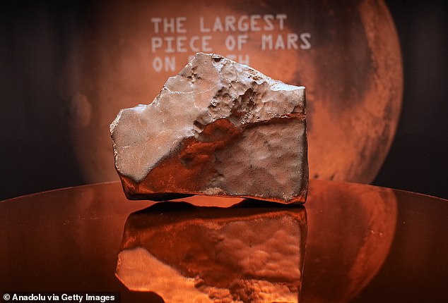 Asteroids as Cosmic Bullet Trains: How Microbes Might Hitch a Ride Between Planets