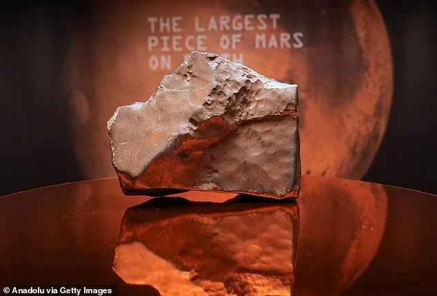 Asteroids as Cosmic Bullet Trains: How Microbes Might Hitch a Ride Between Planets