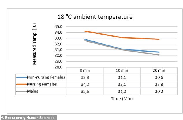 Evolutionary Mystery of Human Breasts Solved: Study Reveals Heat-Retaining Adaptation for Newborns