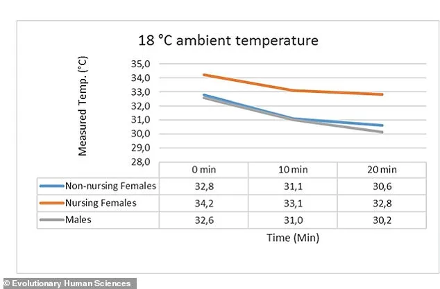 Evolutionary Mystery of Human Breasts Solved: Study Reveals Heat-Retaining Adaptation for Newborns