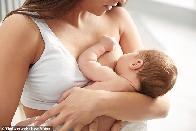Evolutionary Mystery of Human Breasts Solved: Study Reveals Heat-Retaining Adaptation for Newborns