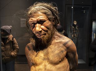 Surprising Twist in Neanderthal-Human Interbreeding: Study Shows Male Neanderthals Predominated (Science)