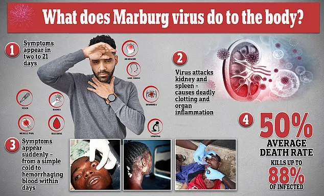 Uganda Cave Footage Exposes Marburg Virus's Deadly Animal Network