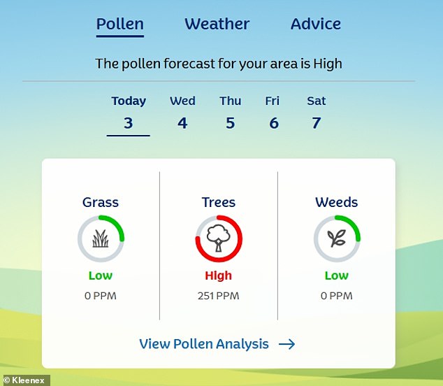 Pollen Surge Triggers Hay Fever Crisis in UK as Met Office Issues 'Pollen Bomb' Warning