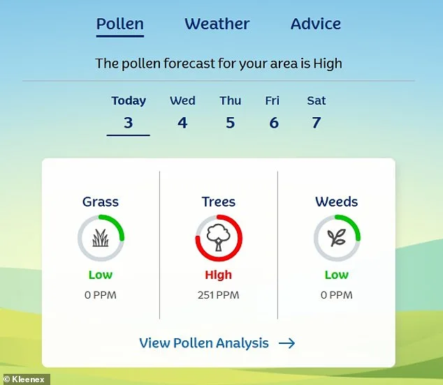 Pollen Surge Triggers Hay Fever Crisis in UK as Met Office Issues 'Pollen Bomb' Warning
