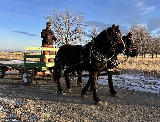 McDonald's Reinstates Wyoming Farmer After Horse-Drawn Wagon Ban