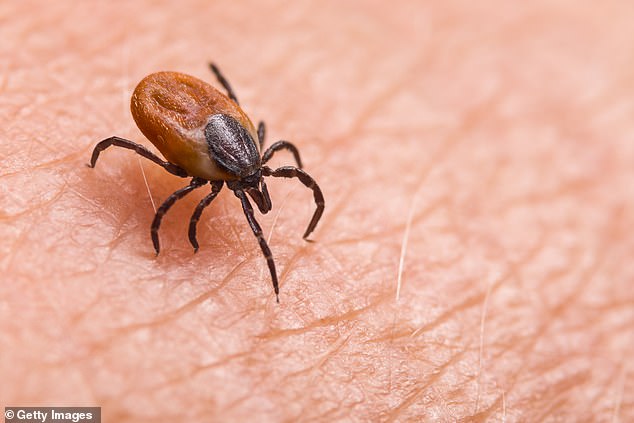 Biochemist Alleges CIA Bioweapon Experiments Tied to Modern Lyme Outbreak